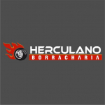 HERCULANO BORRACHARIA