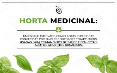 Horta Medicinal